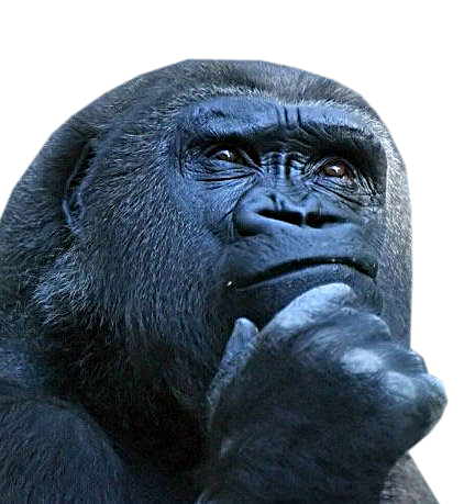 Macaco-pensando (2)