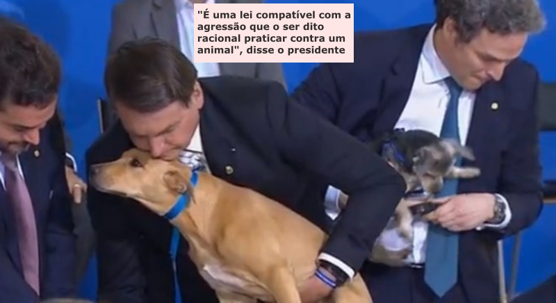 30 Bolsonaro Animais