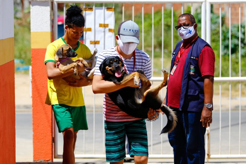 Os animais serão vacinados em três lugares no bairro Shangrilá/ Divulgação/PMBR