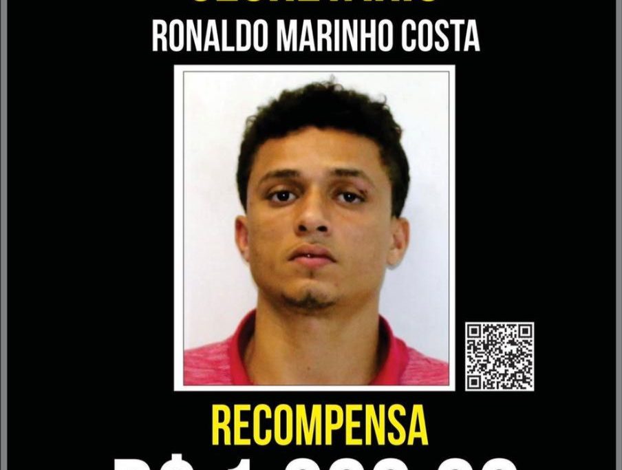 Portal dos Procurados oferecia recompensa de R$ 1 mil pela captura do Ronaldo/Divulgação/Polícia Civil