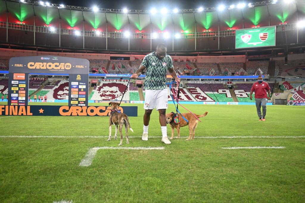 
Manoel, zagueiro do Fluminense, brincando com os cães em campo/Divulgação/RJPET