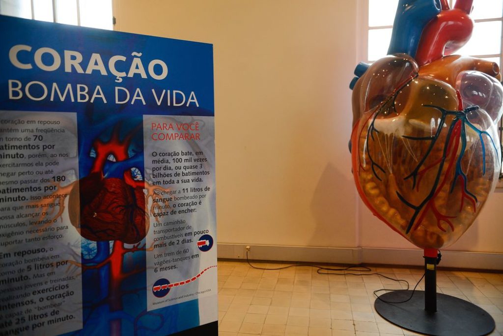 Exposição Vias do Coração no Museu da Vida, no Castelo da Fiocruz,  divulga o conhecimento sobre o coração, para estimular a prevenção das doenças cardiovasculares (Tomaz Silva/Agência Brasil)