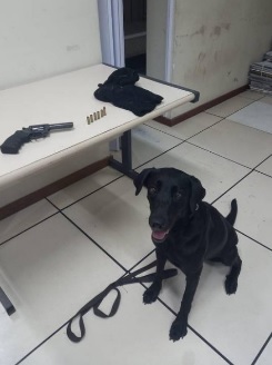 A arma usada na chacina foi encontrada na mata por cães farejadores/Divulgação/Polícia Civil