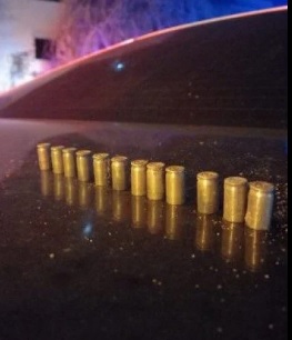Próximo ao corpo da vítima, a polícia encontrou 12 cápsulas de calibre 380/Divulgação/PM.