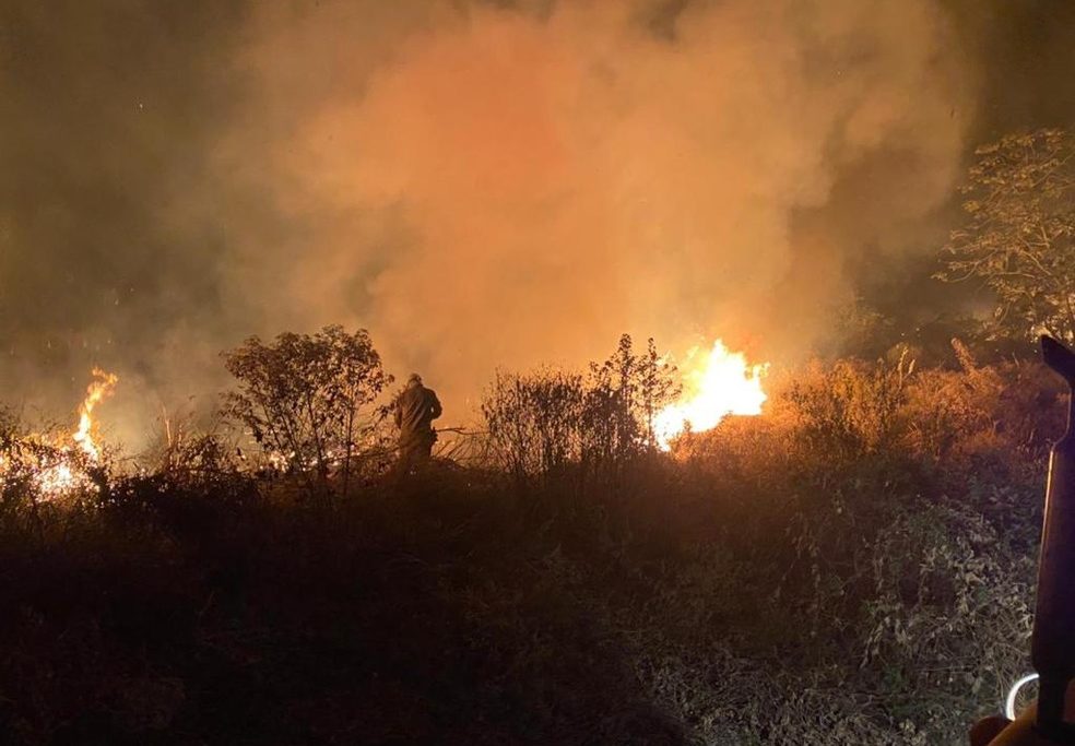 Brasil-02 - Militares combatendo o fogo nesse domingo (11) no pantanal sul-mato-grossense — Foto: Corpo de Bombeiros/Divulgação
