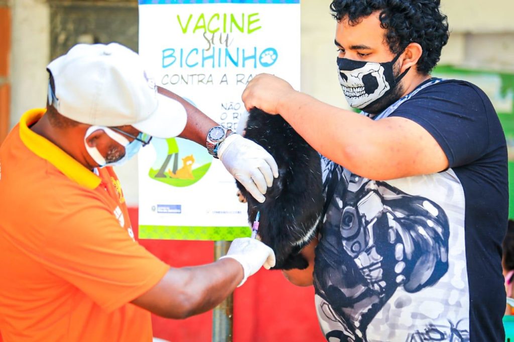 A campanha de vacinação de animais continua em mais quatro bairros/Rafael Barreto/PMBR