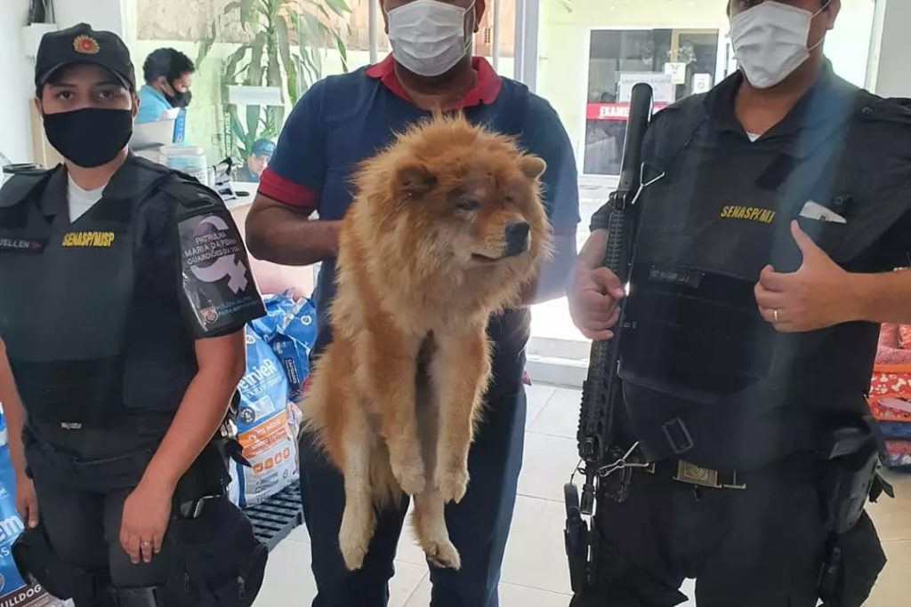 O protetor de animais Rodolfo Maya (c) ajudou no resgate da Chow Chow na Via Light, com o apoio dos policiais militares/Divulgação