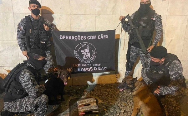 Droga foi encontrada durante uma revista realizada pelo Batalhão de Ações com Cães (BAC)/Divulgação
