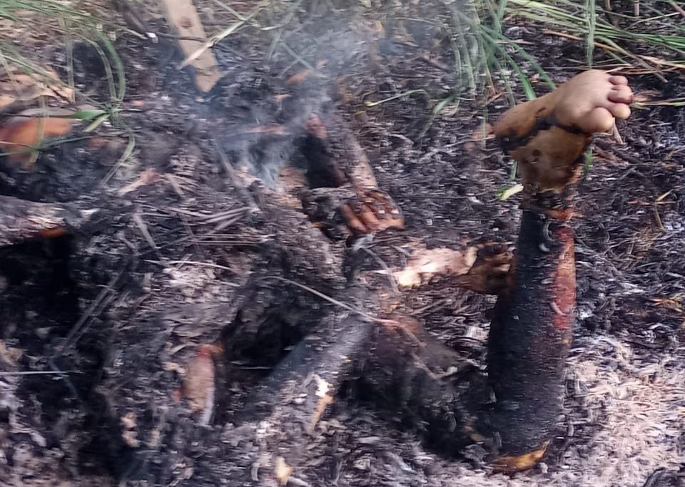 Corpo foi encontrado em área de mata na Baixada Fluminense 